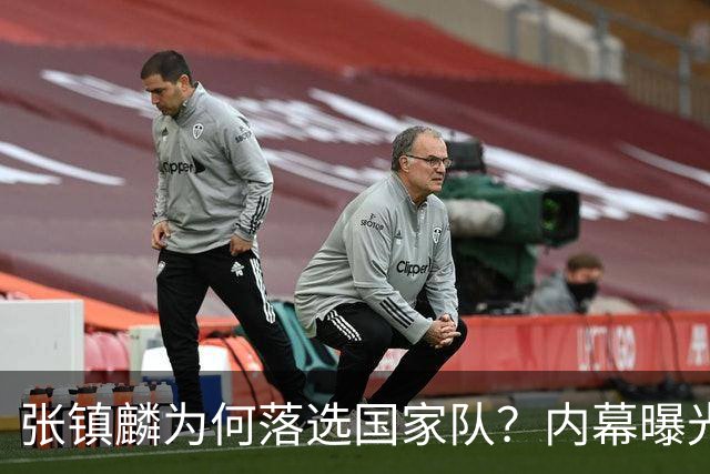 张镇麟为何落选国家队？内幕曝光，叫人心疼，郭士强并没放弃他