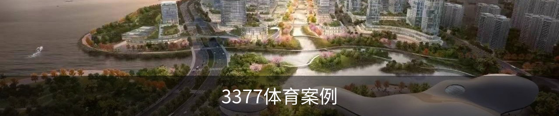 3377体育案例